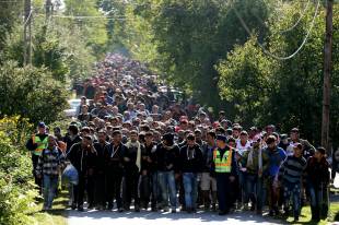 christopher furlong centinaia di migranti al confine tra ungheria e austria