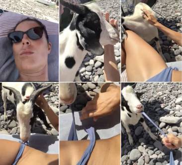la video-risposta di marina la rosa al sindaco di alicudi che vuole disfarsi delle capre selvatiche 